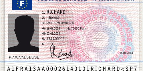 Permis de conduire silhouette