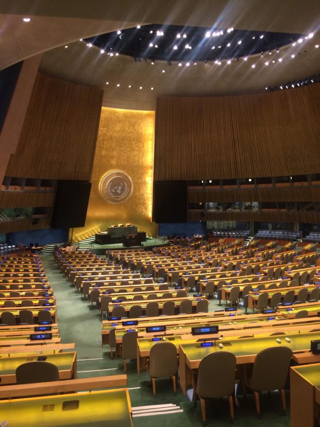 PHOTO-2024-11-20-15-24-35 2